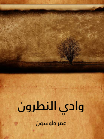 غلاف كتاب وادي النطرون: ورُهبانه وأديرته ومختصر تاريخ البطاركة