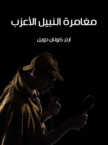 غلاف كتاب مغامرة النبيل الأعزب