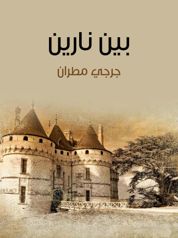 غلاف كتاب بين نارين